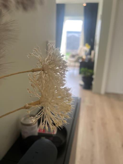 塞尔福斯Golden Circle House 1公寓 外观 照片
